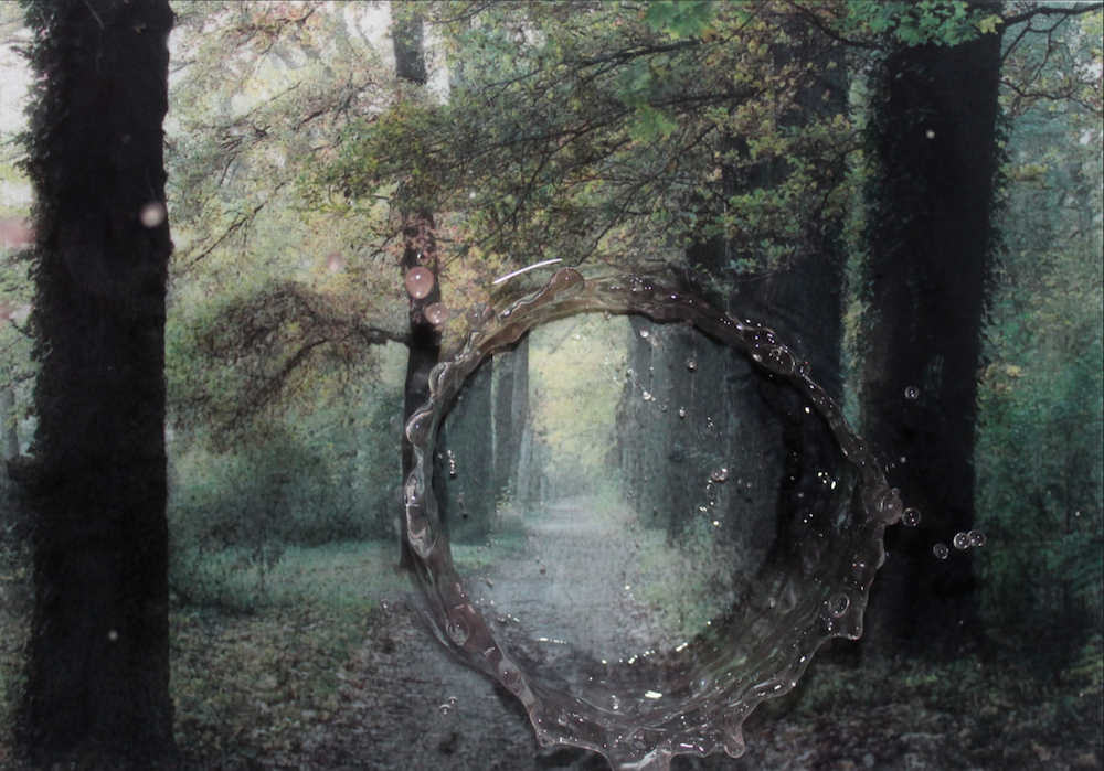 Carousel Image number 8